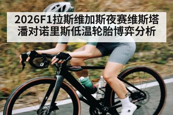 2026F1拉斯维加斯夜赛维斯塔潘对诺里斯低温轮胎博弈分析